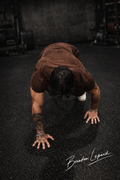 HIGH PROTEIN MEAL + SHRED/muscle BUILD PROGRAM